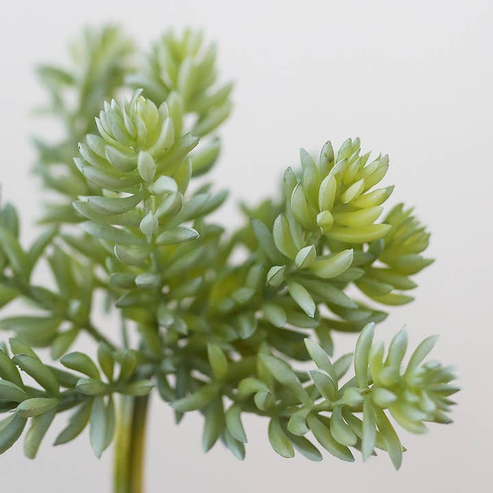 Prestige Botanicals - Wholesale Artificial plant - Artificial Mini Jade Succulent 7”2