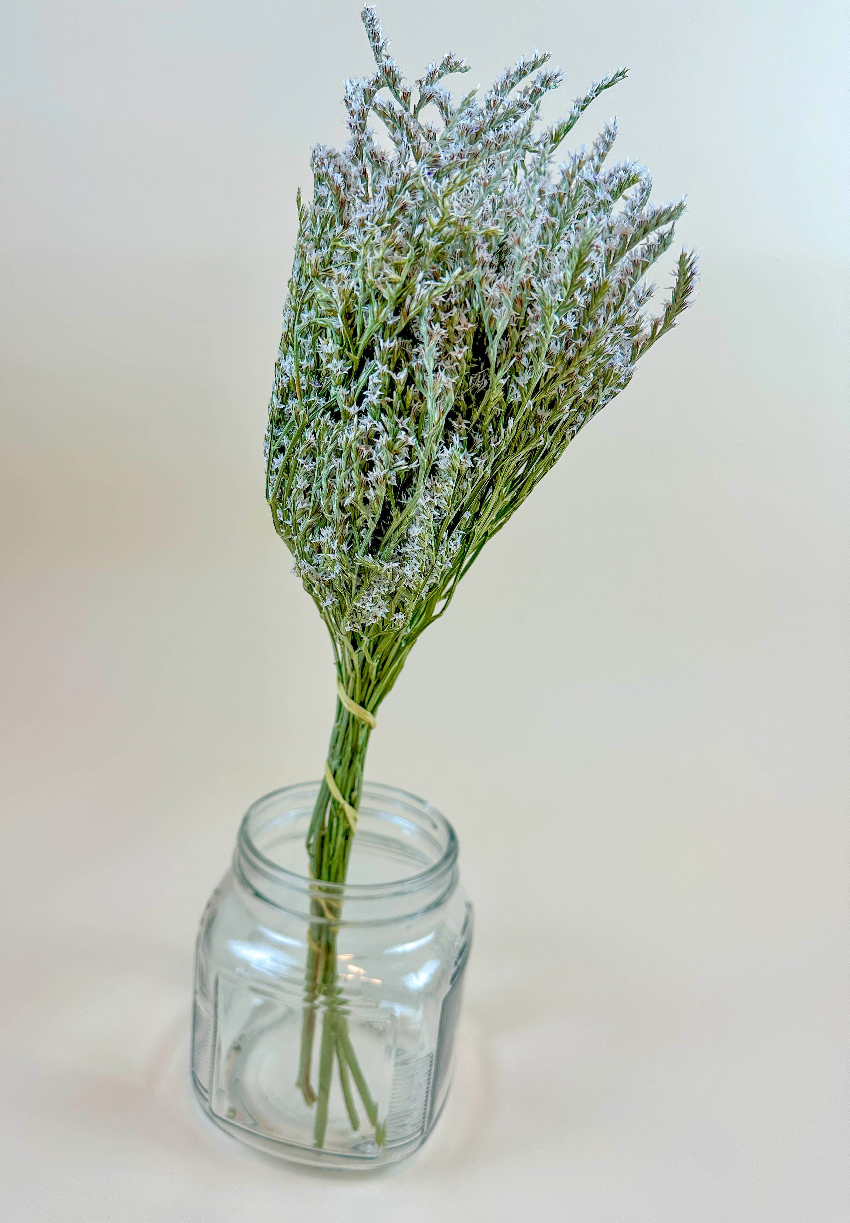 Lovejoy Farms Premium Dried Flowers - Wholesale Dried/Pressed Flowers - German Statice (3 lb case) - Naturally Dried Flowers2