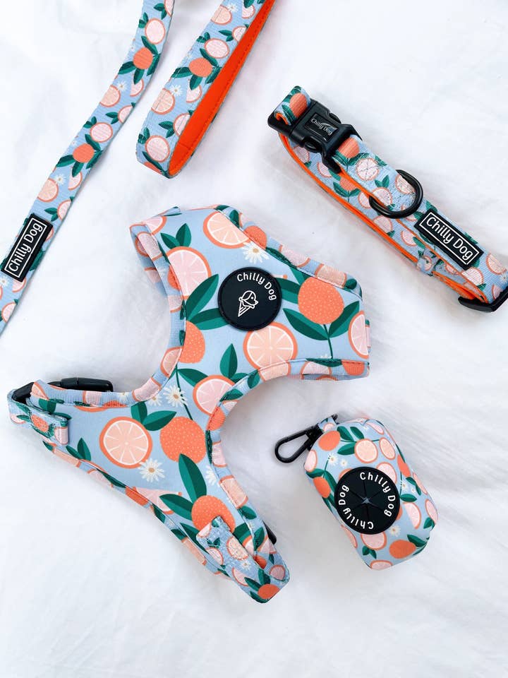 Orange Tangerine Dream Puppy Dog Harness for wholesale by Chilly Dog