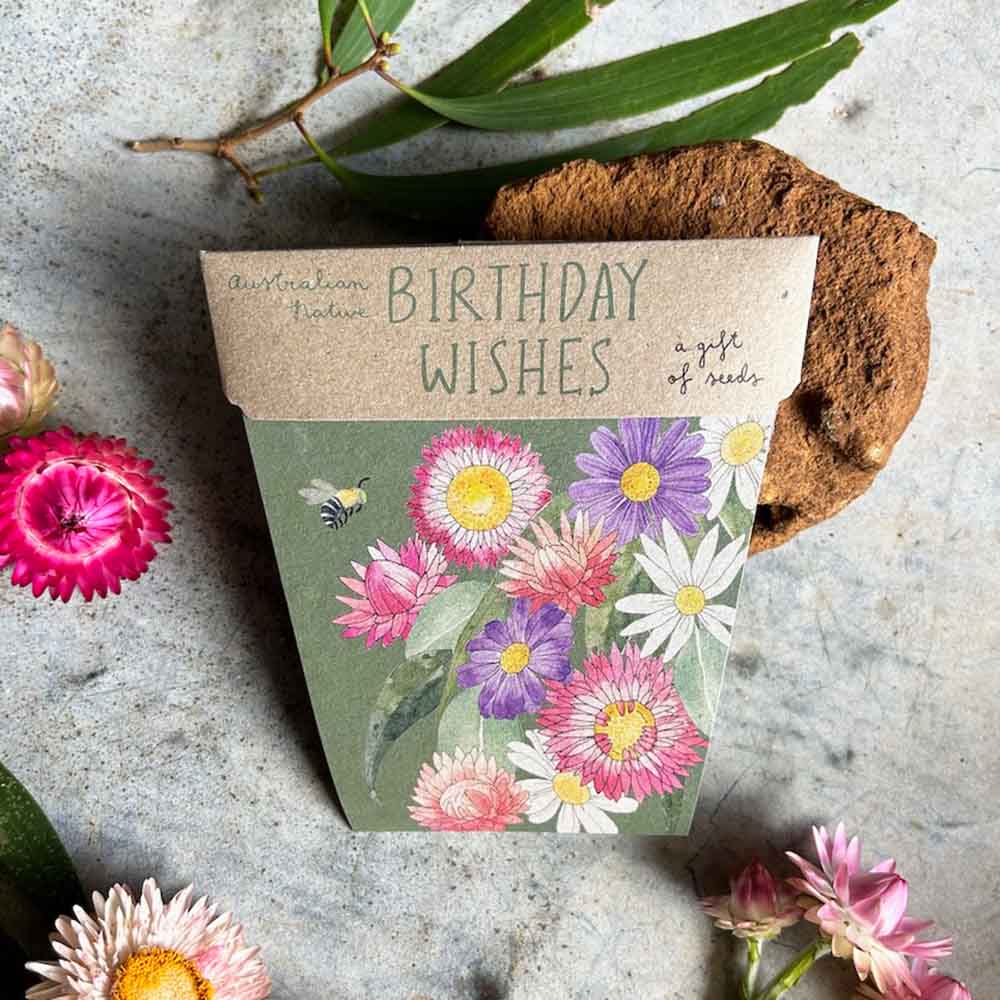Sow 'n Sow - Wholesale Birthday card - Birthday Wishes Gift of Seeds (Australia Only)2