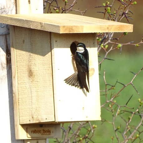 Birdhouses 2025 for wholesale by Printink Canada