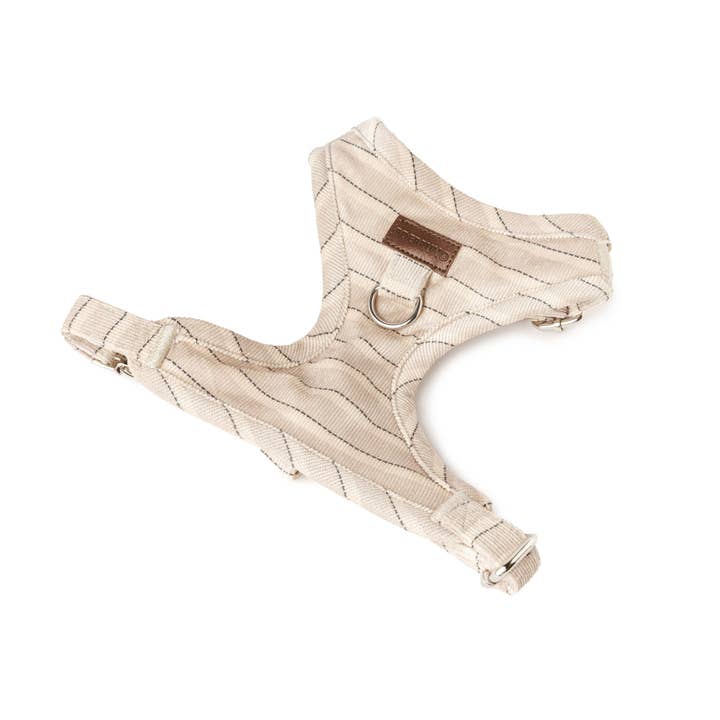 Arnês Chest Taupe por atacado de B de Bruno ES