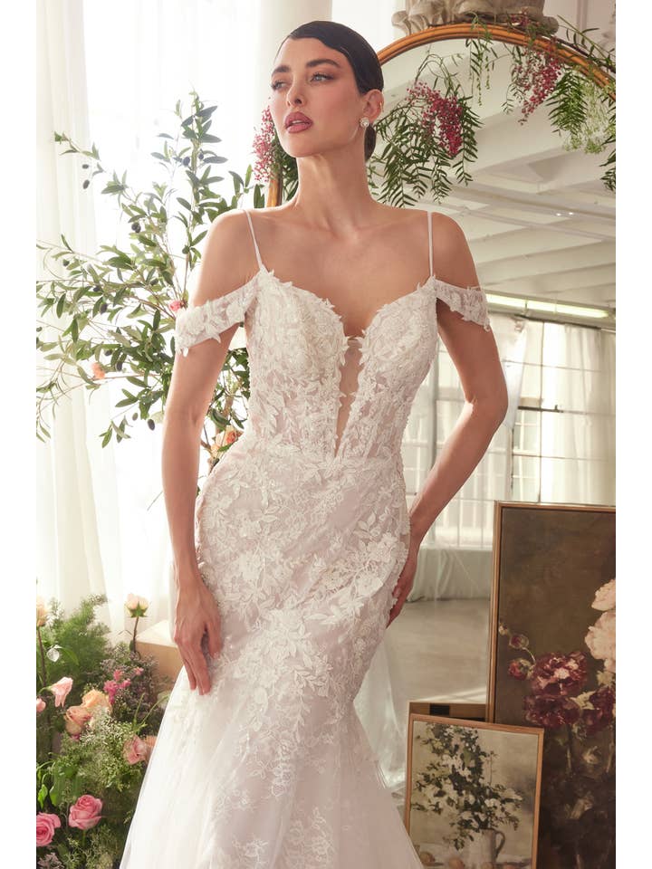 Off White FITTED LACE MERMAID WEDDING DRESS
for wholesale on Faire