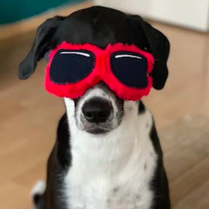 WufWuf – wholesale Pet rope toy – Dog – WufWuf Sunnies, Rope & Tug Dog Toy2