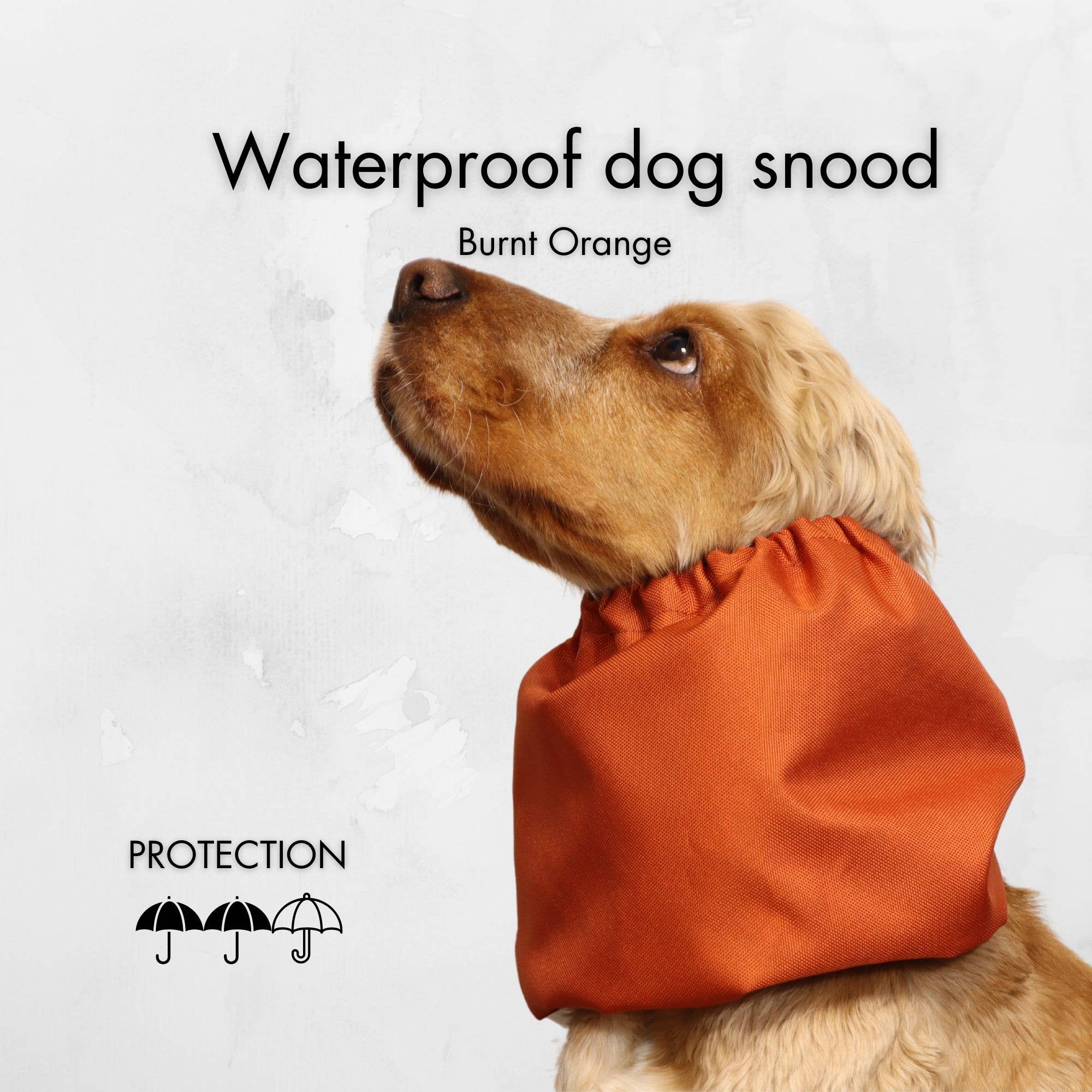 Distinguish Me - Venta al por mayor Protector de cuello para mascotas - Perros - Snood impermeable para perro | Naranja quemado4