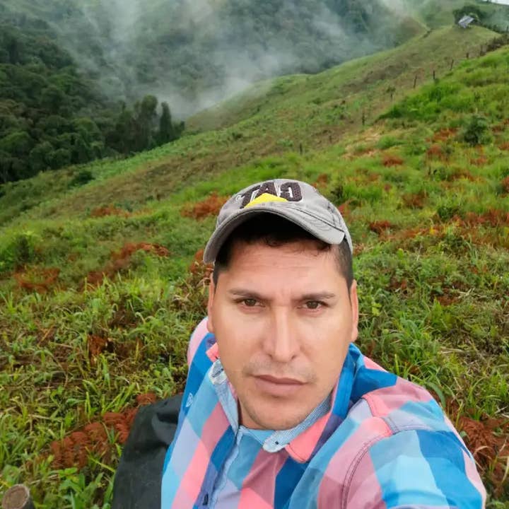 Duberney Cifuentes Colombia Natural Process Coffee for wholesale by COLOMBINO