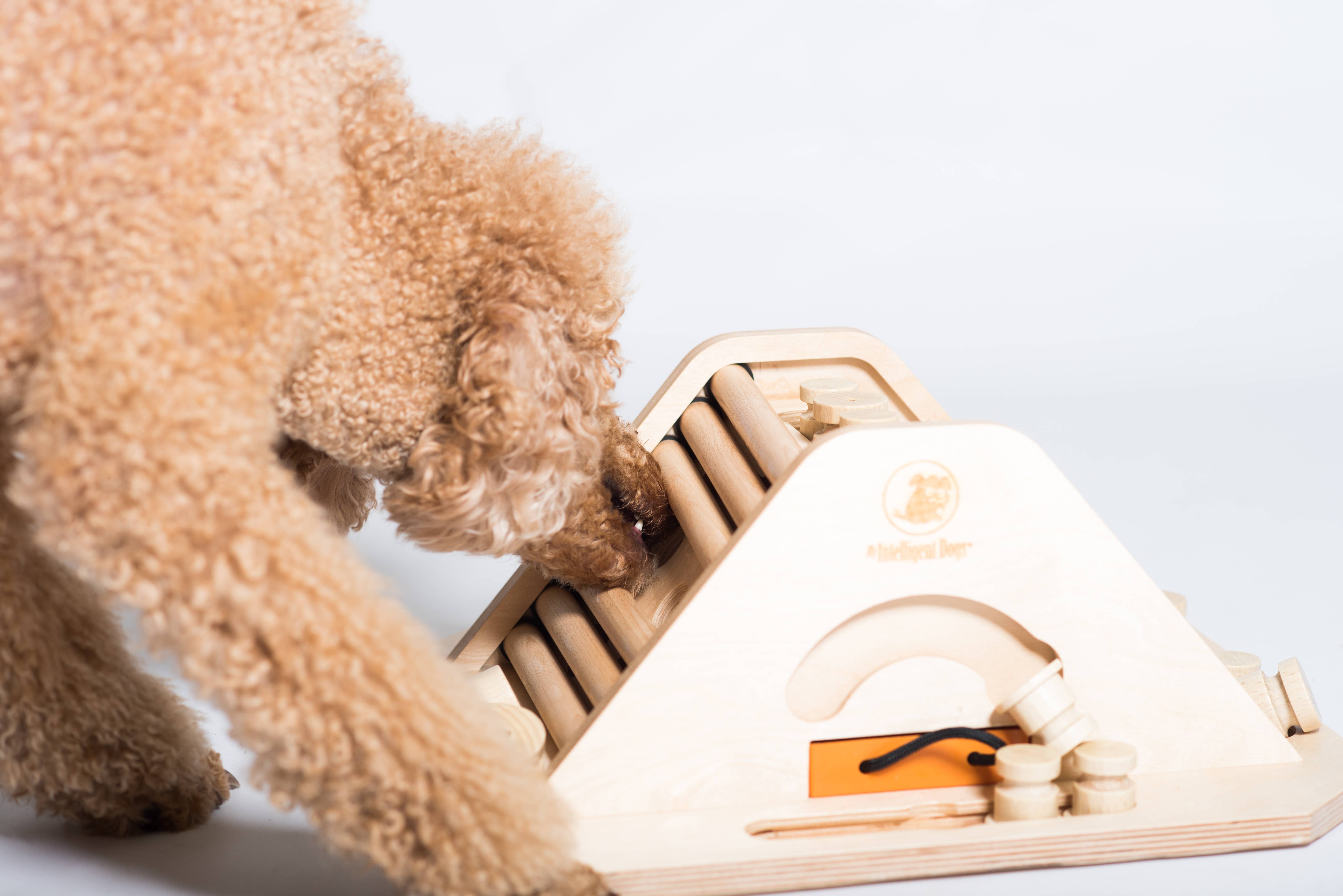 My Intelligent Dogs - Wholesale Pet Toy - Dog - Pyramid - challenging and stimulating dog game1