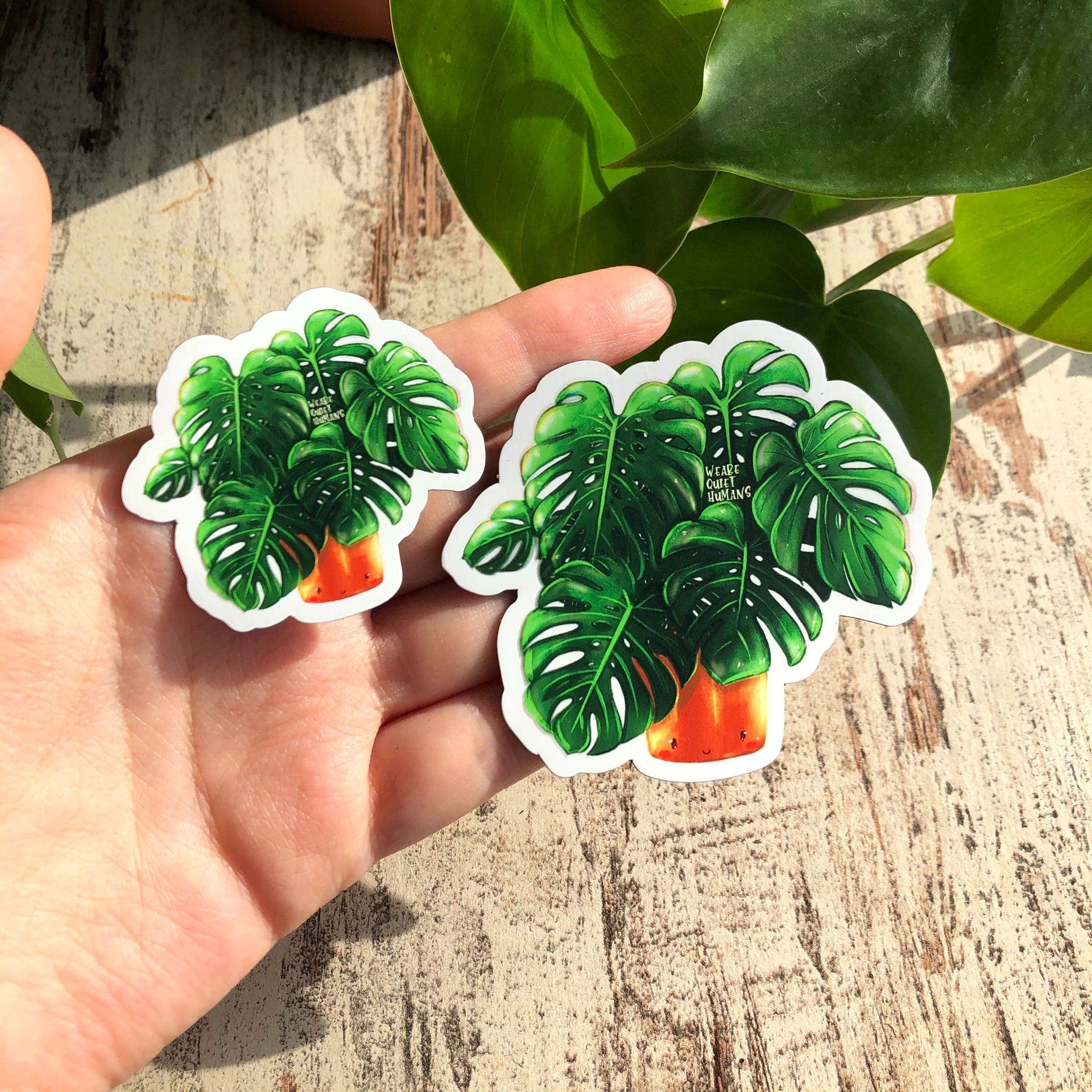 plantyintroverts - Wholesale Magnet - Magnet - Monstera Deliciosa, Plantlover, Plants, Plantlady1