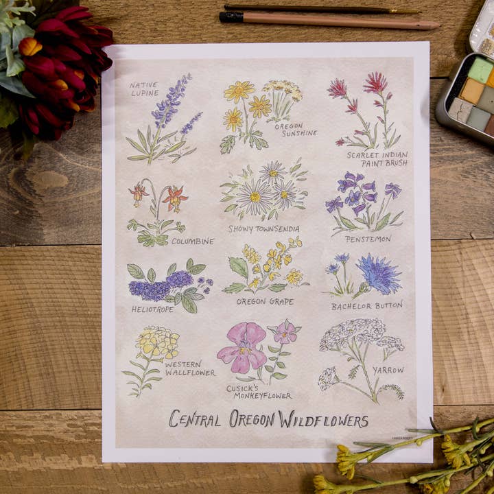 Central Oregon Wildflowers 11"x14" Art Print for wholesale by Hiker Booty