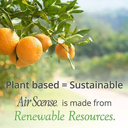 Citra Solv - Wholesale Air Freshener - Air Scense - Orange
