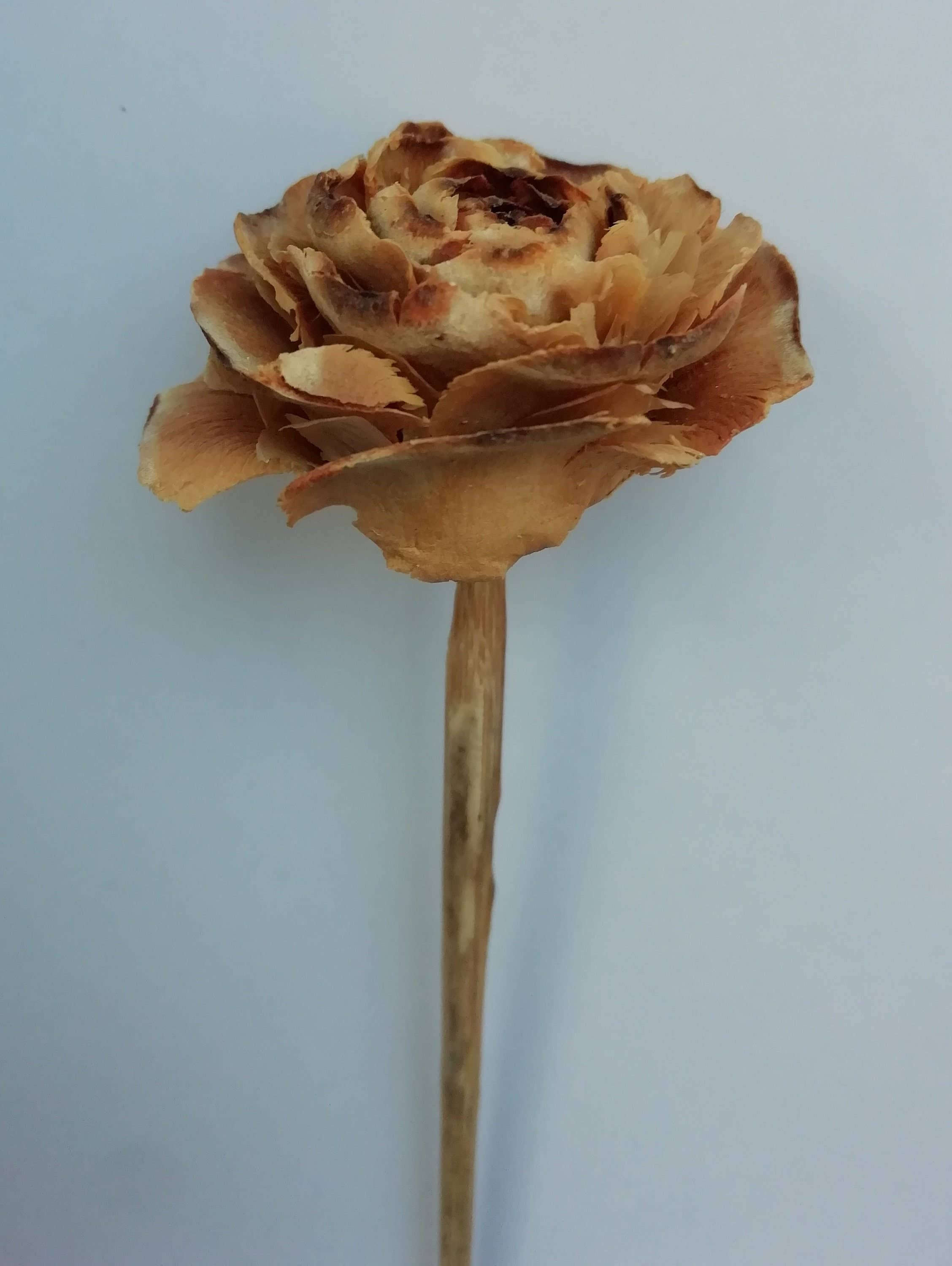 Daisy Gifts Ltd – wholesale Artificial flowers – Cedar Rose Pick Bunch of 9 Woodrose Stems7