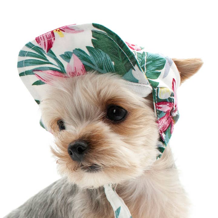 Dogo Pet - Wholesale Pet Hat - Dog - Tropical Island Hat1
