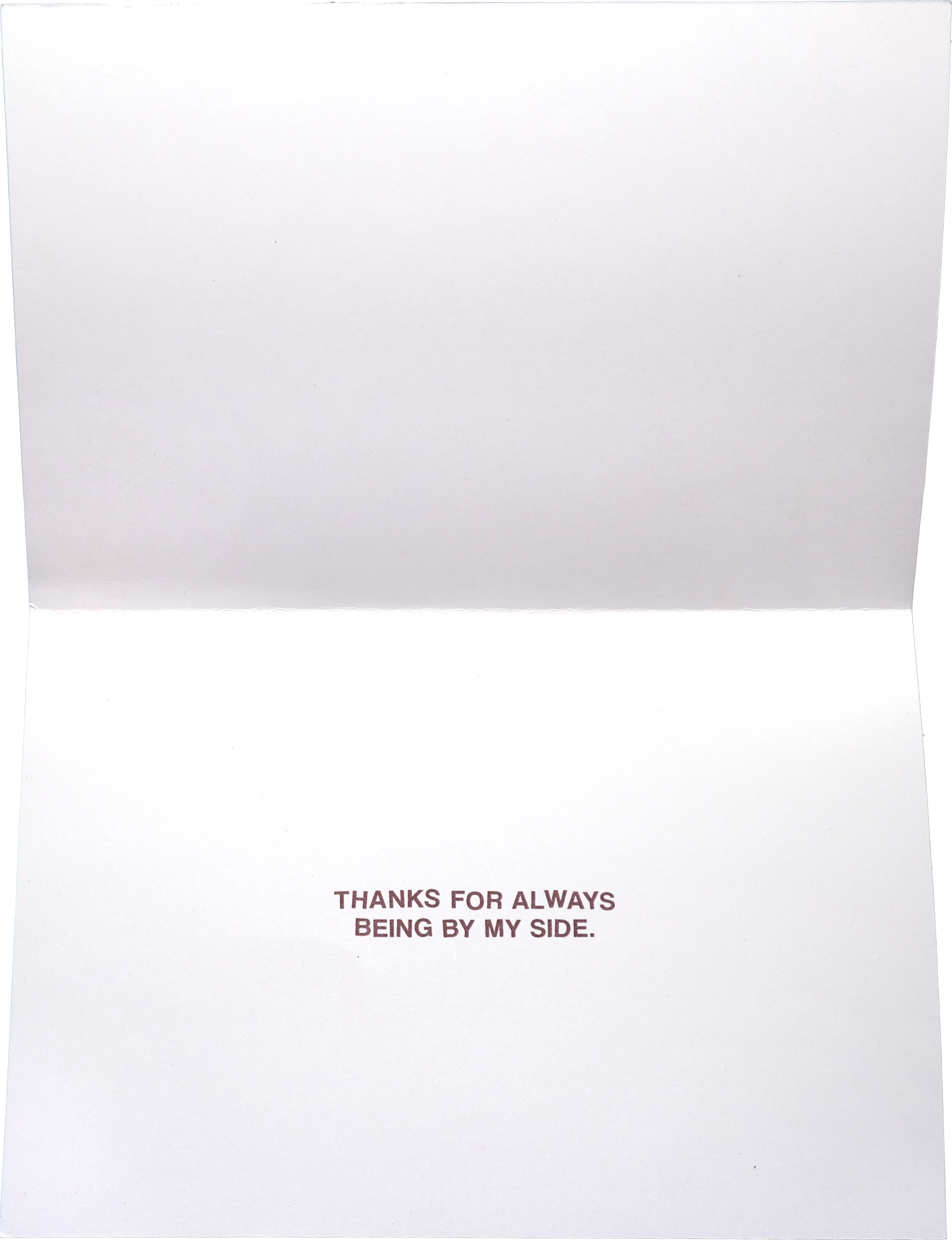 Day Off Ltd. - Venta al por mayor Tarjetas de amor - Tarjeta Wild Ride5