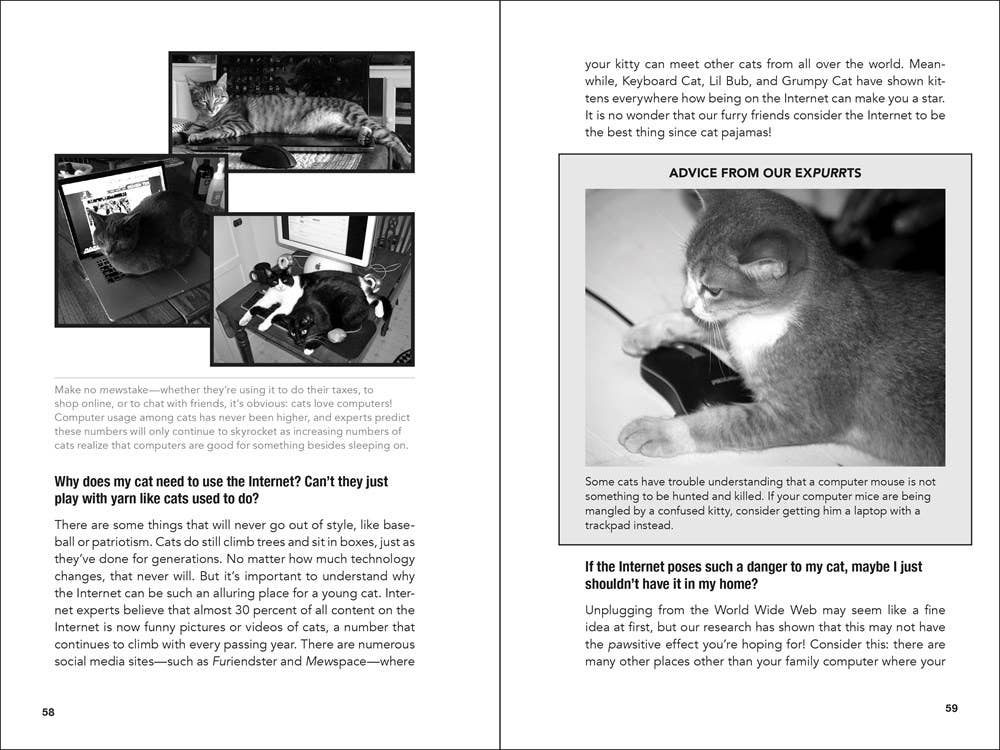 Microcosm Publishing & Distribution – Großhandel Humor – Sprechen Sie mit Ihrer Katze über Waffensicherheit: Und Abstinenz2