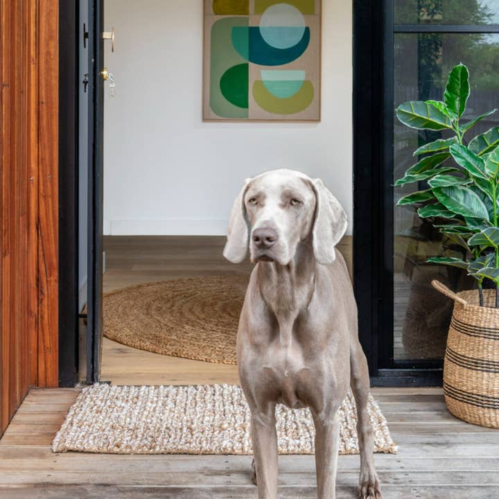 Zebra Home - Wholesale Area Rug - Kidman Jute Twist4