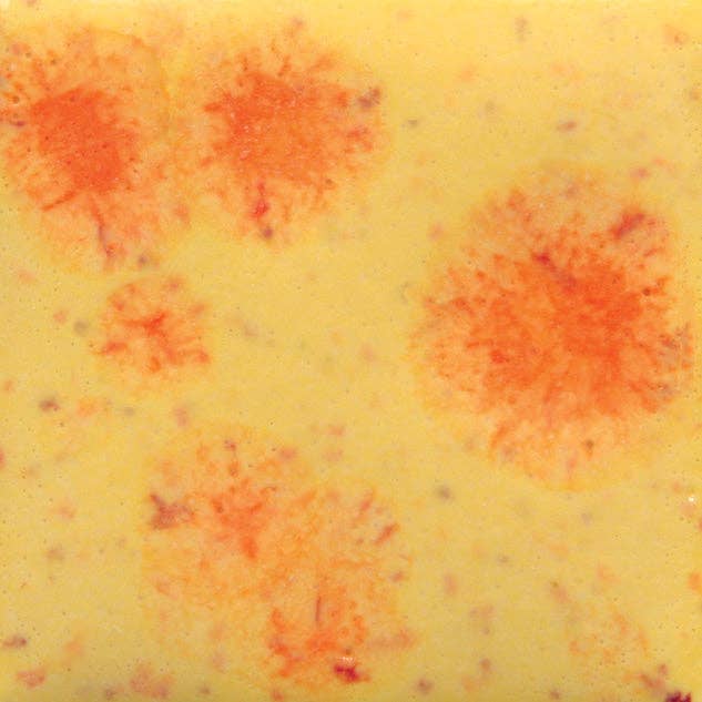 Handpicked Ceramics - Wholesale Decorative Tabletop Object - Mini Ceramic Mushrooms4