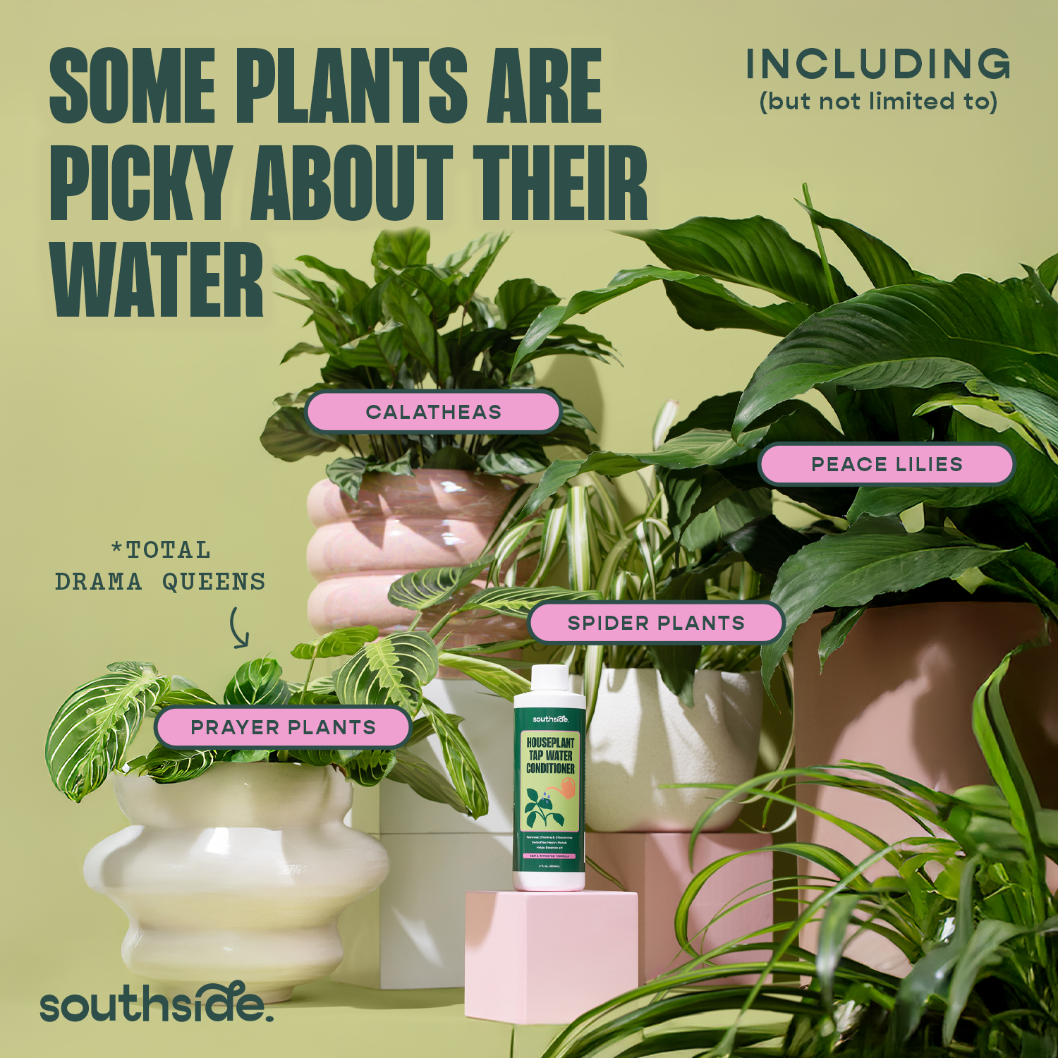 Southside. - Vente Engrais - Climatiseur d'eau du robinet Houseplant3