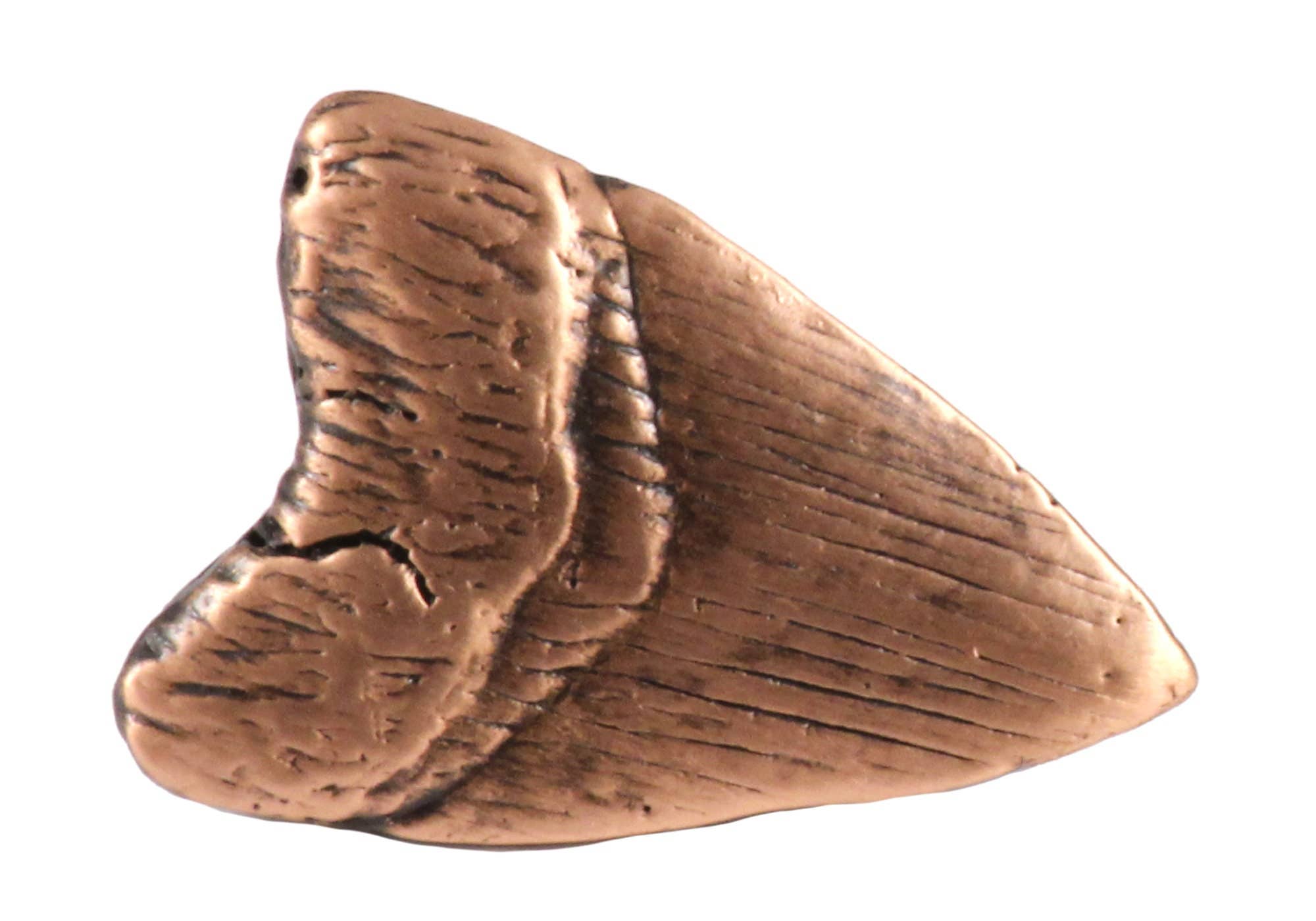 Creative Pewter Designs – wholesale Nål och knapp för kavajslag – Förhistorisk haj tand Tenn Lapel Pin eller Magnet S1283