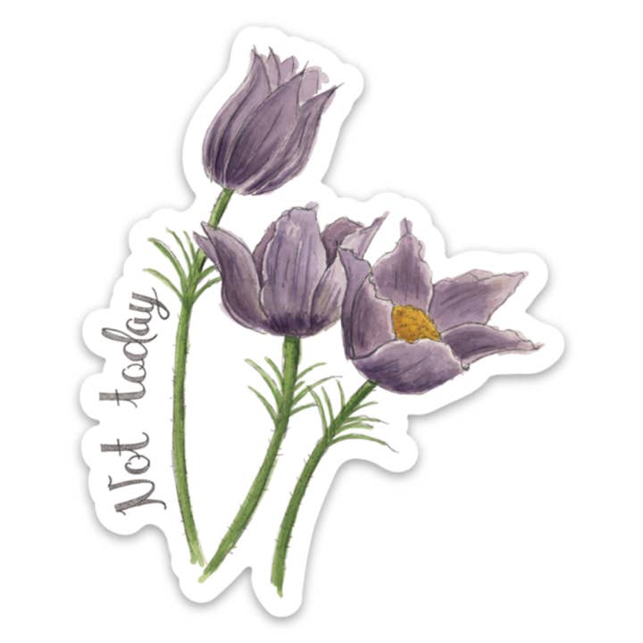 Pegatina no hoy para venta al por mayor de Naughty Florals