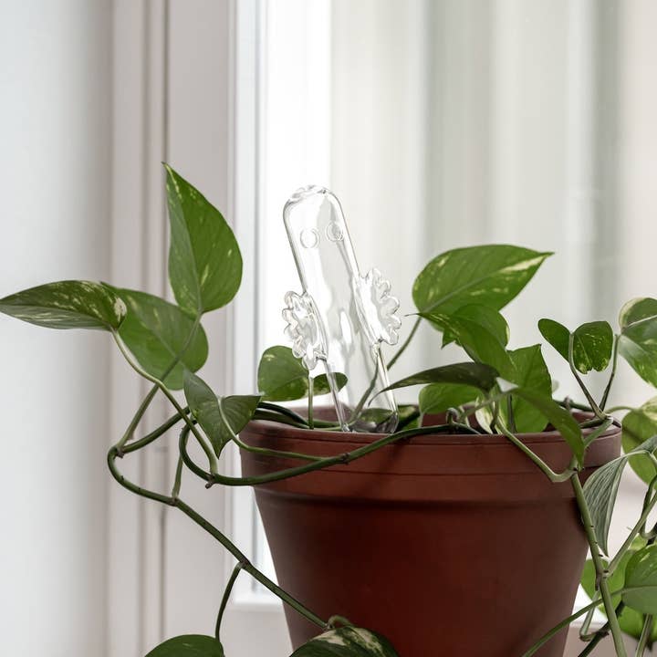 Treacle George (Muurla & Havi) – wholesale Watering can – MOOMIN | Hattifattener Watering Bulb | 30cm4