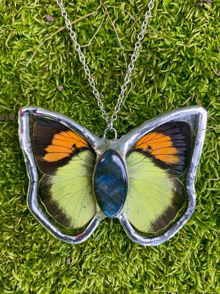 Butterfly Taxidermy Necklace with Labradorite Crystal for wholesale by Outsider Artshop