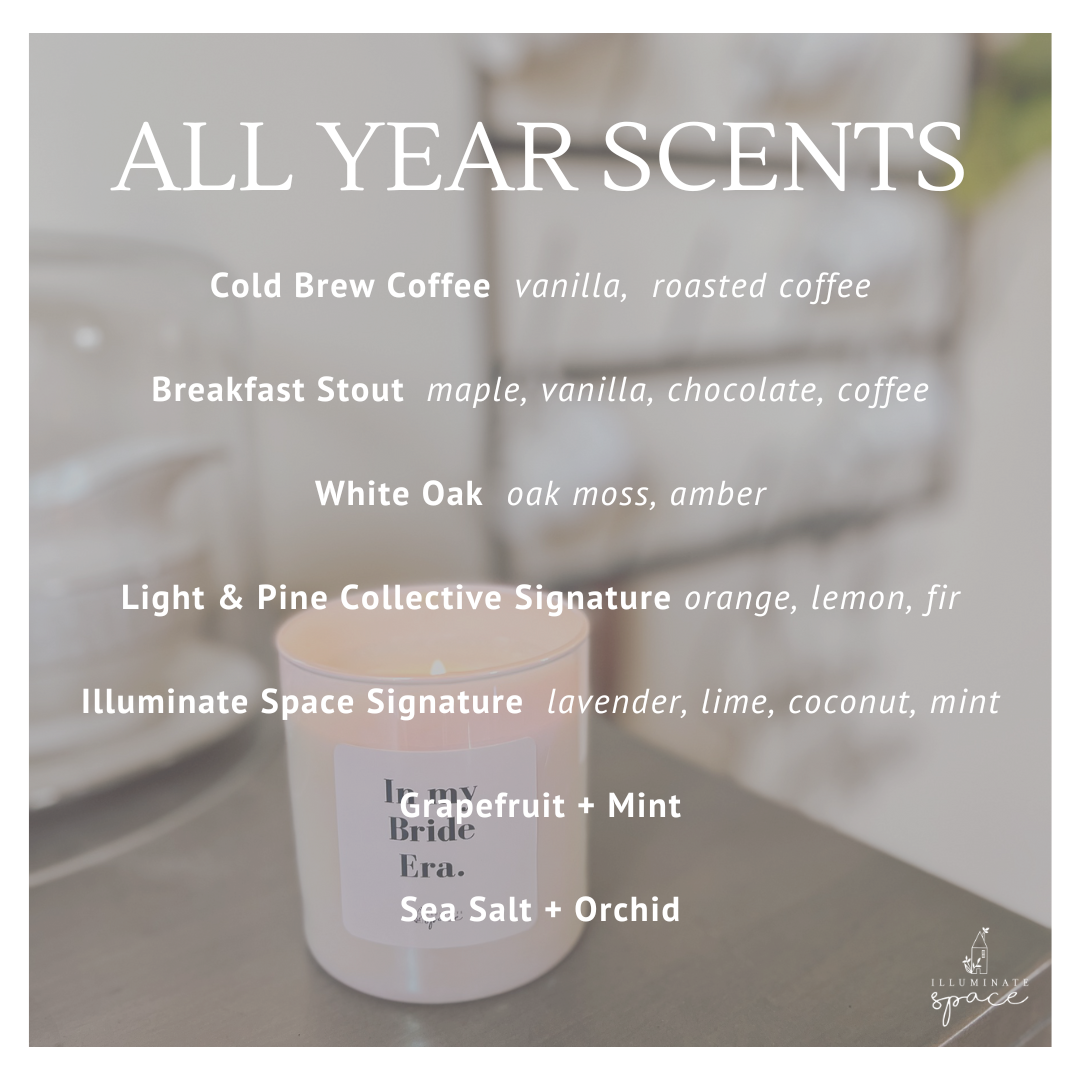 Illuminate Space - Wholesale Jar/Filled Candle - It's too peopley outside Soy Candle, Large11