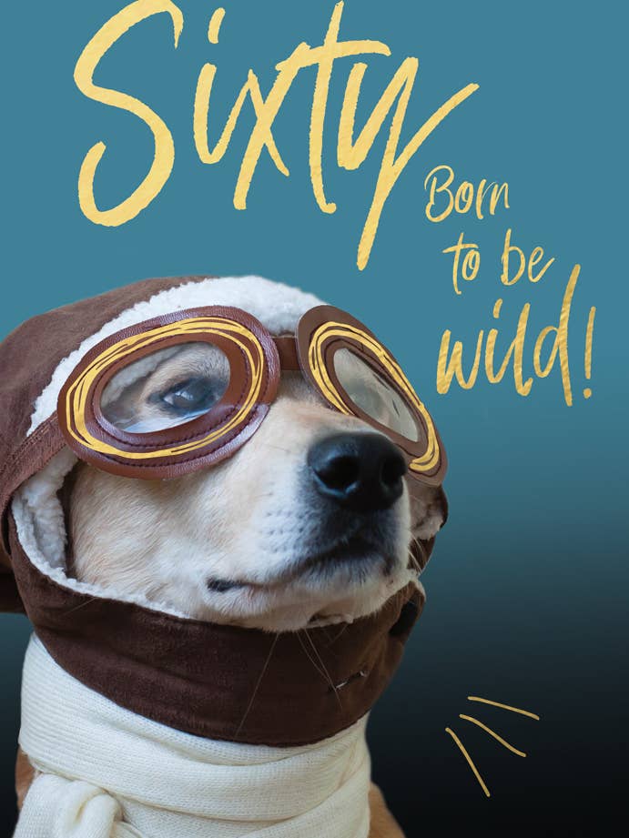 Sixty - Born to be wild for wholesale by Abacus Cards and Clare Maddicott Publications