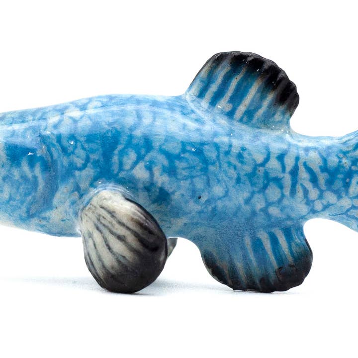 Little Critterz - Wholesale Decorative Figurine - Devils Hole Pupfish
