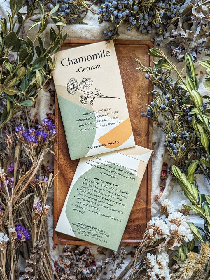 Chamomile Garden Seeds for wholesale by The Elevated Seed Co.