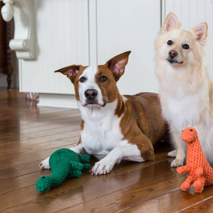 Jax & Bones - Wholesale Pet Rope Toy - Dog - Brontosaurus Rope Toy (Large - 13")1