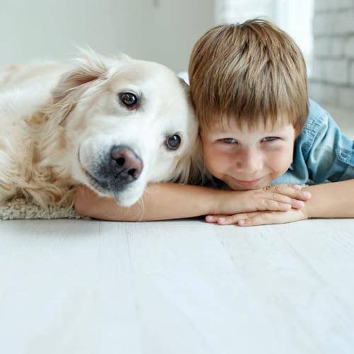 Wags Bakery LLC - Wholesale Pet Treats - Dog - Oatmeal Apple Cinnabones – Crunchy Dog Treats All-Natural5