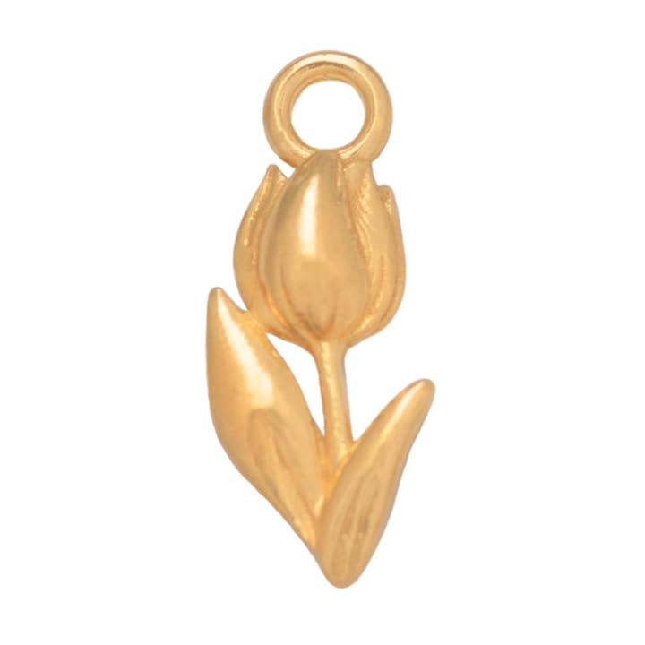 Tulip for wholesale by Ken & Jame