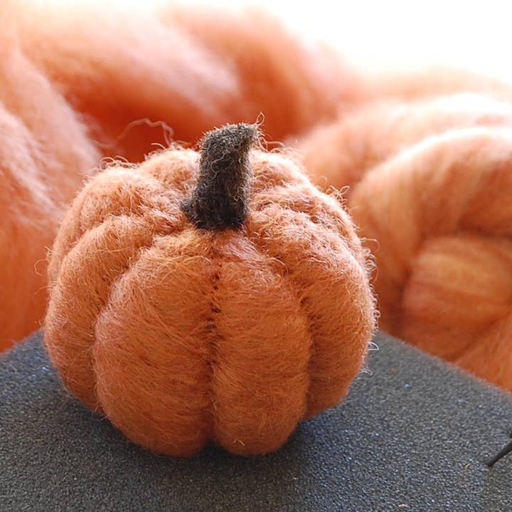 Bear Creek Felting - Venta al por mayor Kit de manualidades - Kit de fieltro con aguja para principiantes: calabaza0