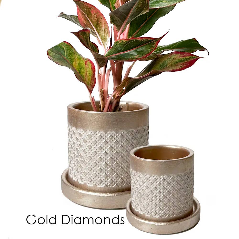 Chive - Wholesale Plant Pot - Balter Succulent Containers Cactus Pot And Saucer1