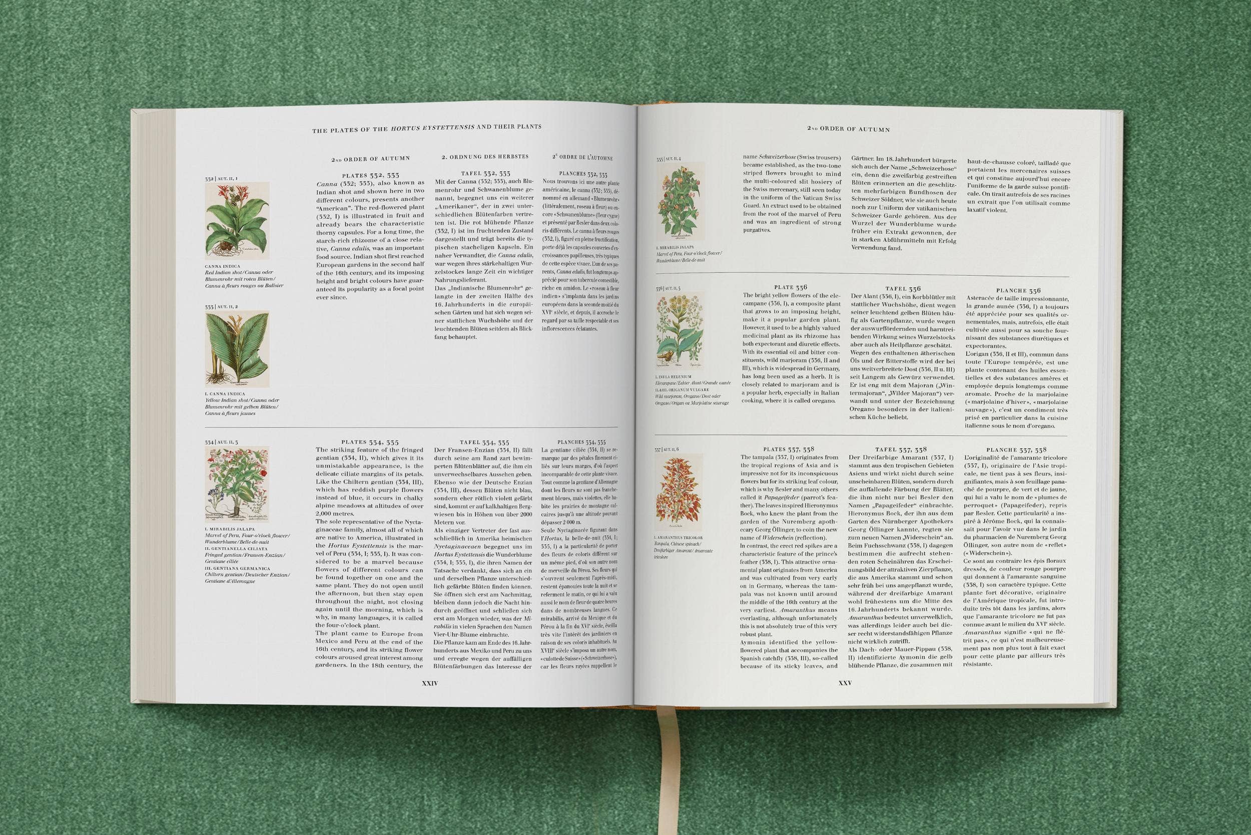 TASCHEN Europe – wholesale Nature & outdoors book – Basilius Besler. The Garden at Eichstätt (German, French, English)22