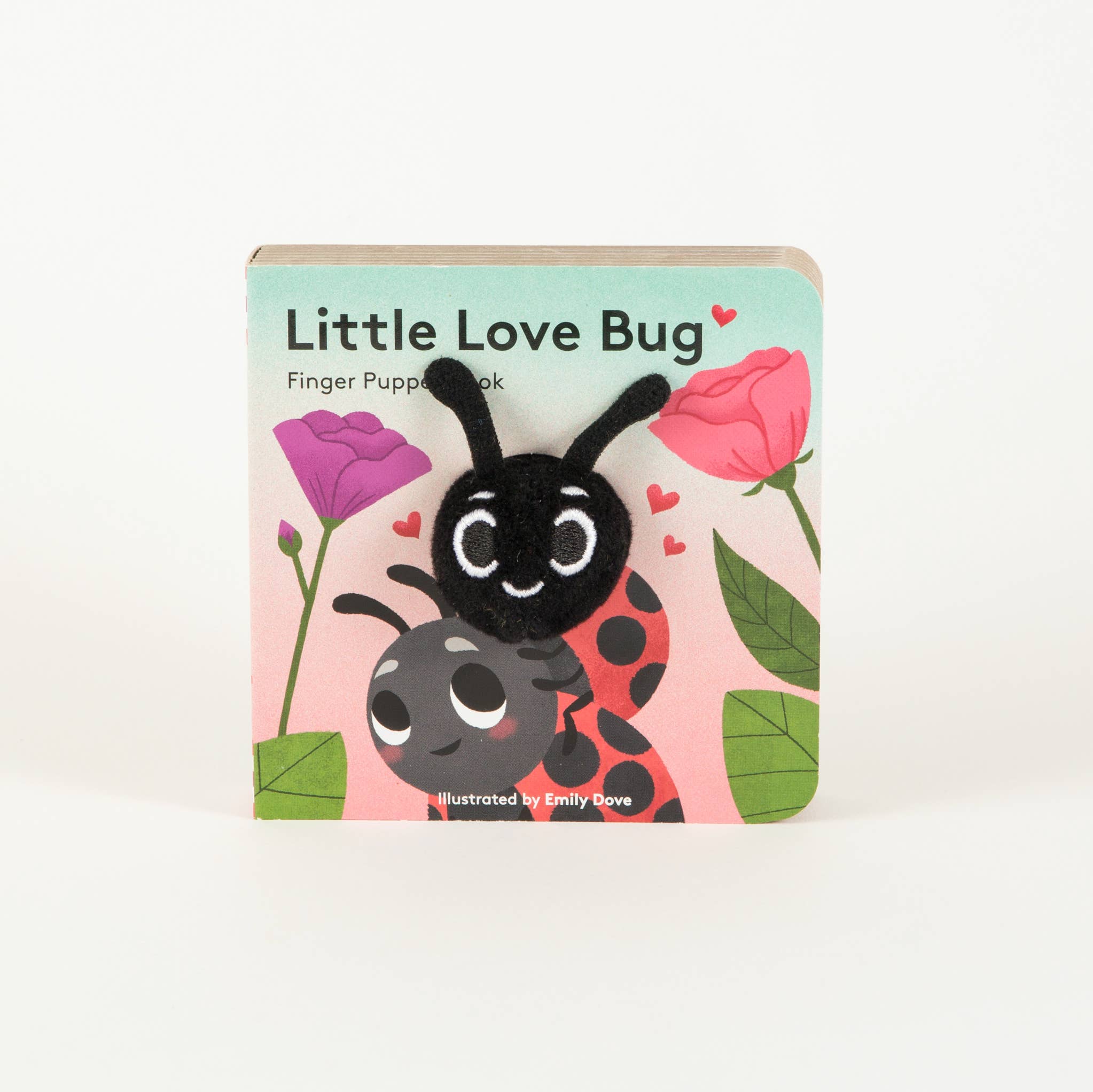 Chronicle Books - Wholesale Baby & Toddler Book (0-2) - Little Love Bug2