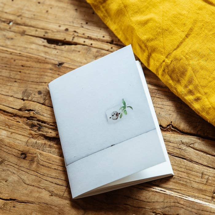Små indbydende plante-notesbøger for engroshandel hos L'OISEAU COMETE