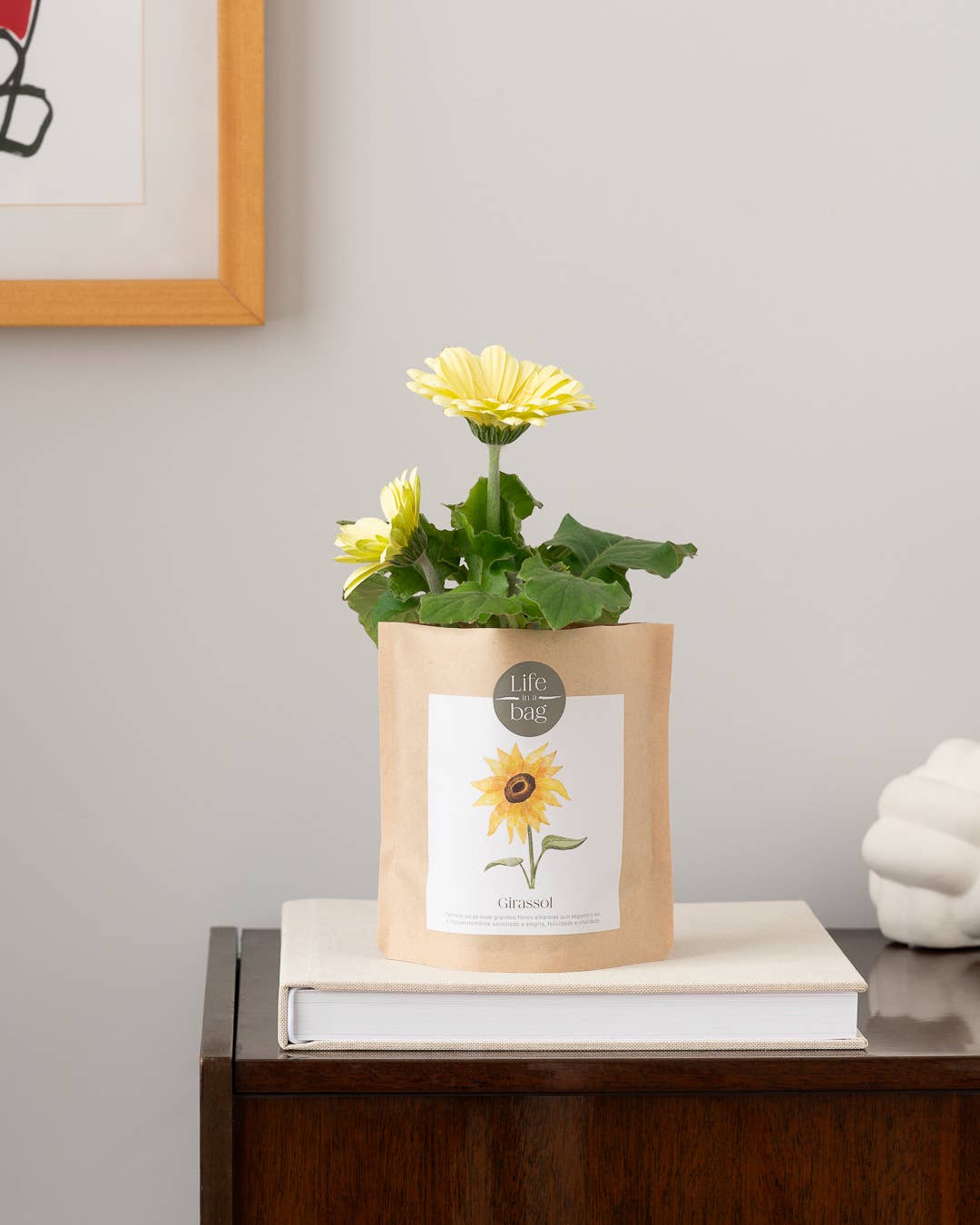 Life in a bag - Wholesale Plant Seeds - Sunflower Grow Bag1