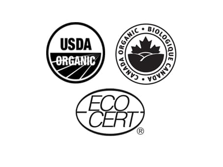 Tea Rebellion - Venta al por mayor Bolsitas de té - Forma larga verde - Té verde | Indonesia | Bolsas biodegradables1