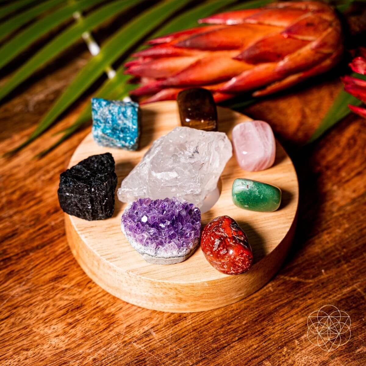 Conscious Items - Vendita all'ingrosso Lampada da scrivania/d'accento - La lampada a energia naturale5