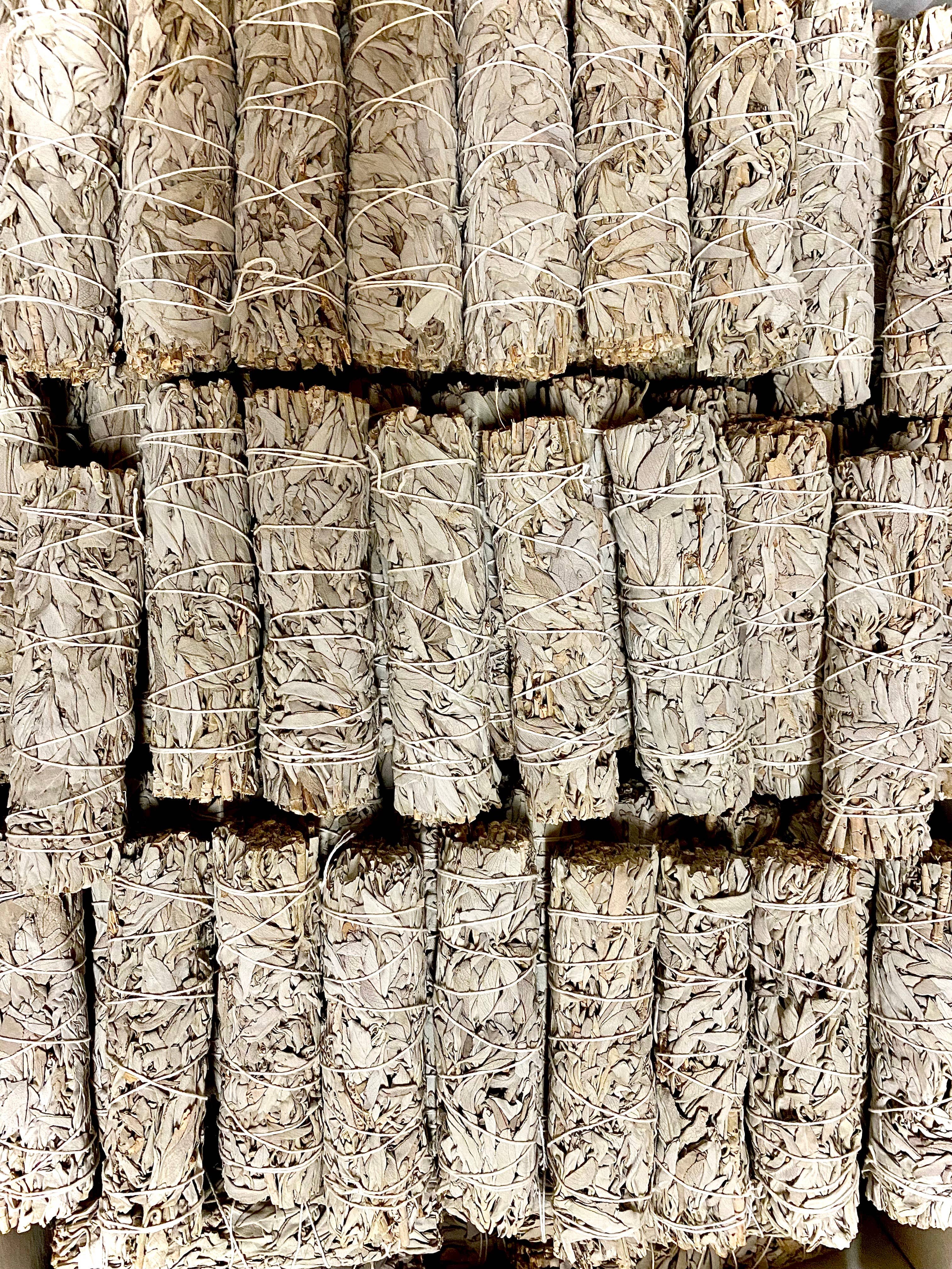 Faiza Naturals – Pacote de sálvia por atacado – Panos de sálvia branca da Califórnia de 18 cm - Sálvia branca da fazenda2