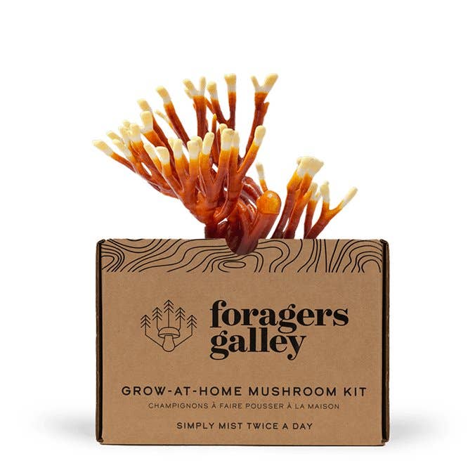 Foragers Galley - Wholesale DIY Food Kit - Antler Reishi Mushroom Grow-at-Home Kit