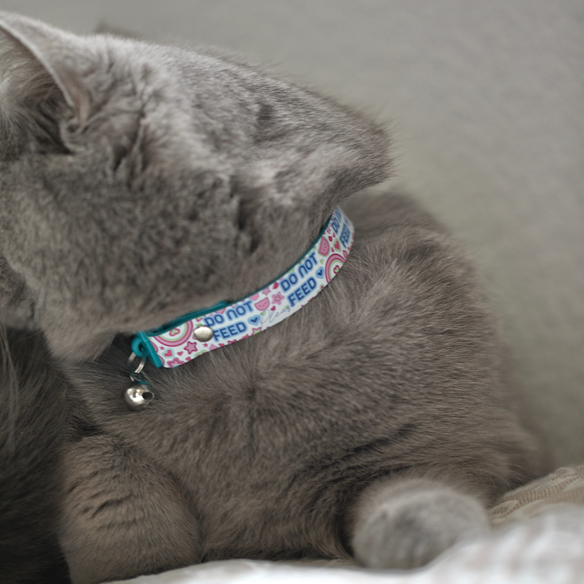 Kittyrama - Wholesale Pet Collar - Cat - KITTYRAMA PEARL 'DO NOT FEED' CAT COLLAR - Quick Release, Breakaway, Hypoallergenic1
