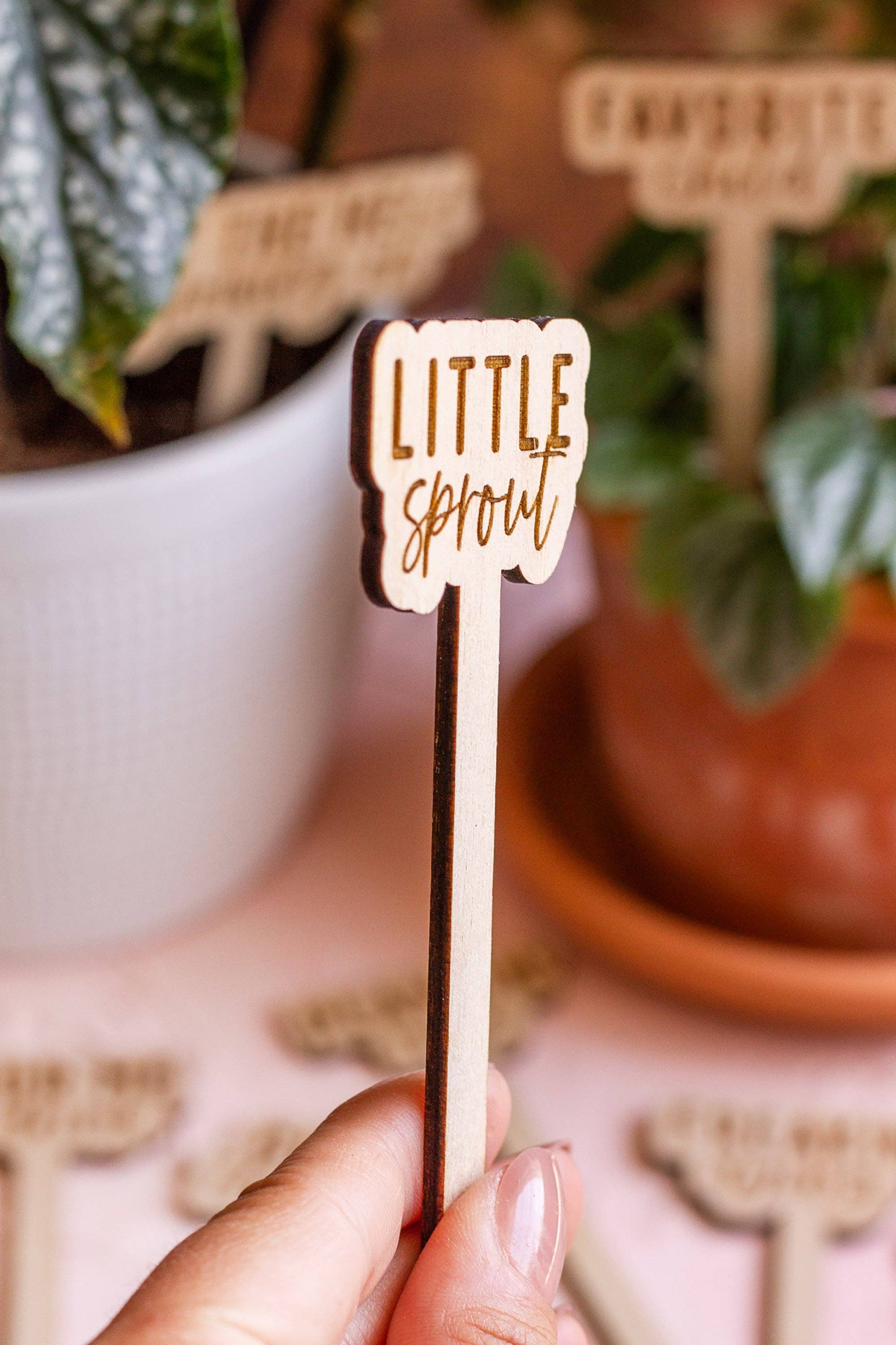 The Print Pantry - Wholesale Garden/Lawn Stake - Funny Script Wooden Plant Markers8