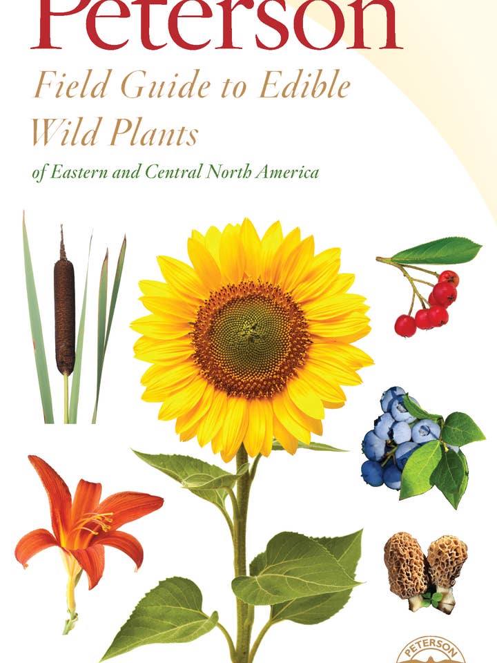 Peterson Field Guide to Edible Wild Plants, A: Lee Allen for wholesale by HarperCollins