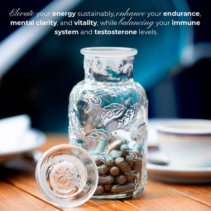 Hifas da Terra - Wholesale Oral Supplement/Vitamin - Welcome Pack Optimum Men3