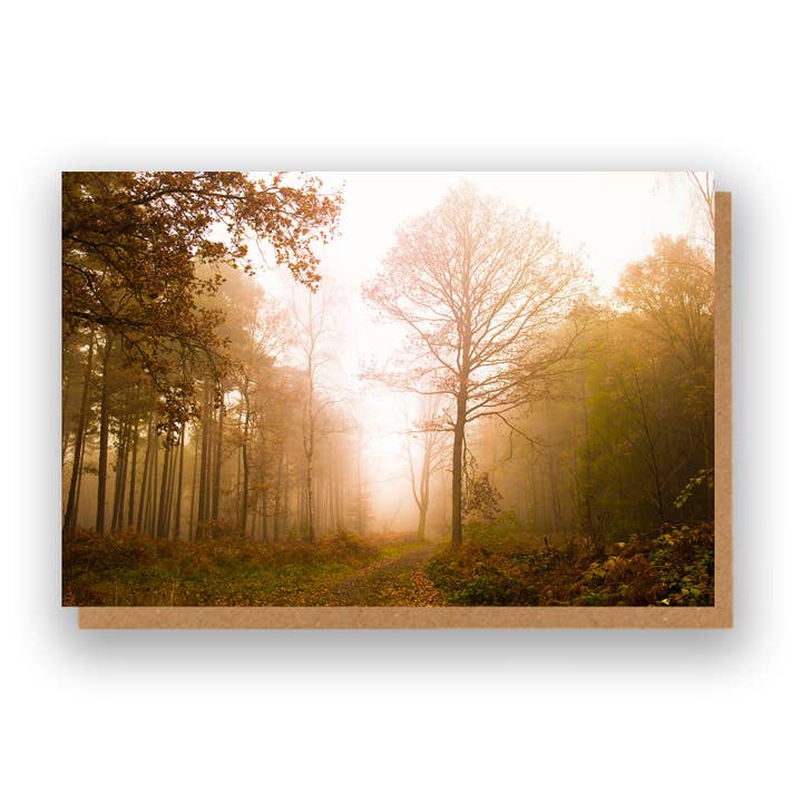 Woodland Landscape Greeting Card for wholesale by Marina Walker