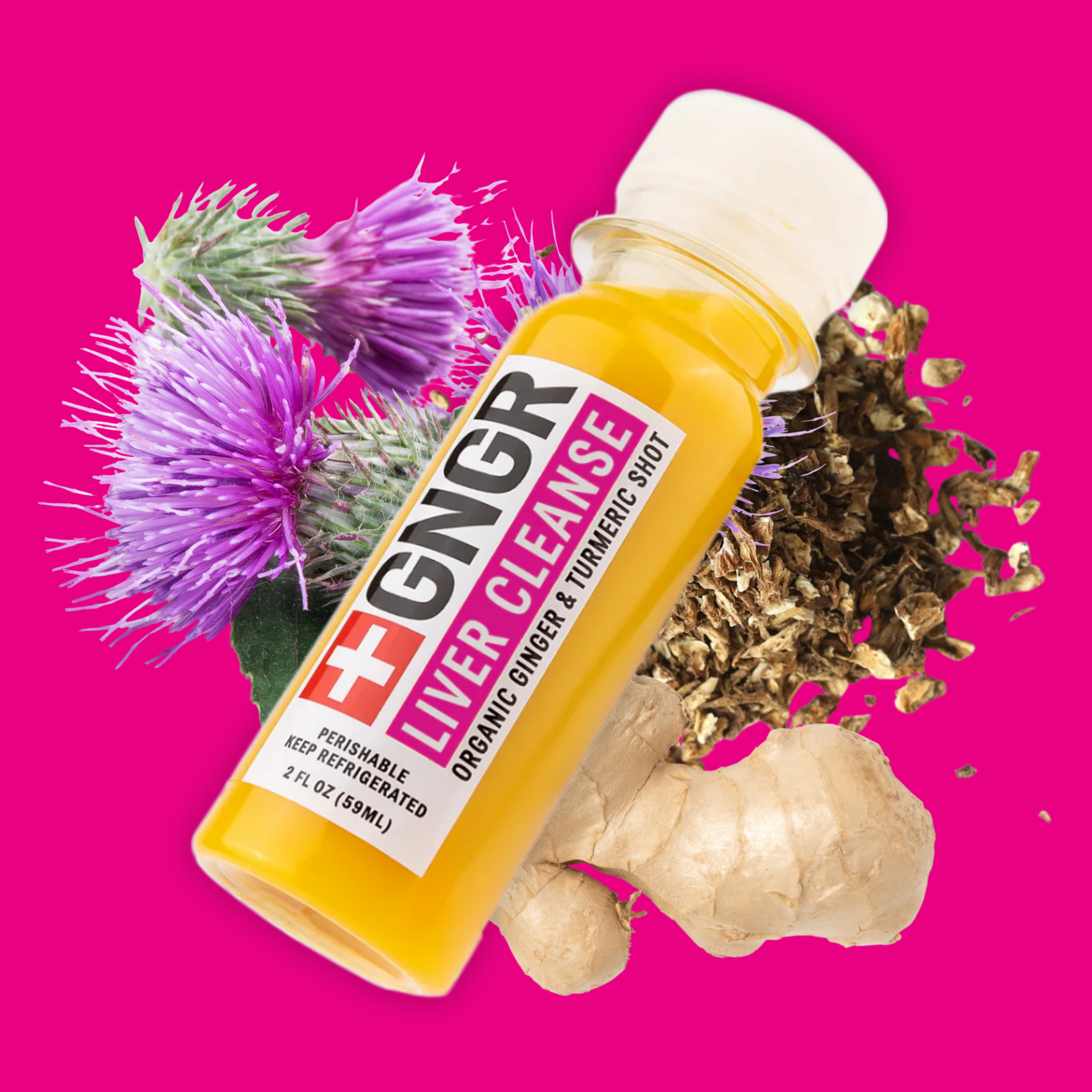 GNGR Labs - Wholesale Wellness Juice/Tonic - Liver Cleanse Shot: Ginger, Milk Thistle, Dandelion Detox12