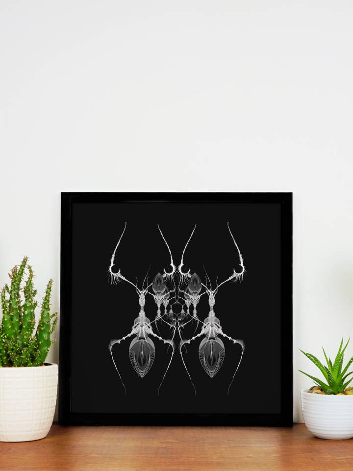 AntWeb Art Print for wholesale by Signum Somnia