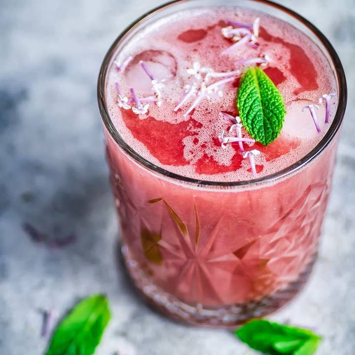 Organic Rhubarb Lemonade for wholesale by Paunchy Elephant